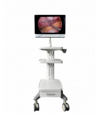 4k 醫(yī)用內(nèi)窺鏡攝像系統(tǒng)wz1880 廠家